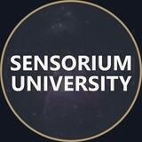 SENSORIUM