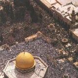 Gaza Gheer | غزة غير