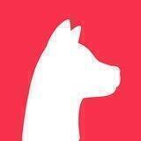 🐕Dogeber Coin | Official Global Community