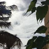 غيث🌧🌱