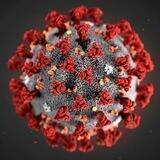 Coronavirus News