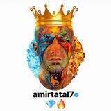 amirtatal7