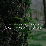 للجنة نرتقي💚🌿