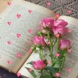 🌹✨FLᎧRᏋᎦ ᏨᎧM FRᏘᎦᏋᎦ✨🌹