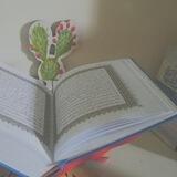 نـبـتـة صبّـار 🏜️