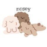 nosey