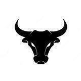 BullRun Inu - Binance Smart Chain