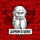 Дарвин в шоке
