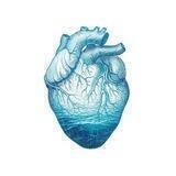 لآخـرتك ♡︎