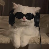 مَبتهمنيِش .