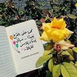 باقة من ورد و كلمات 💐