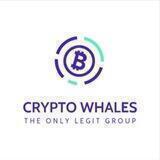 Crypto Whales