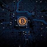 Crypto Satoshi Nakamoto