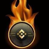 BNB MOON