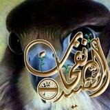 نْفَحٍـآت—ٌ آلُقَصٍيَدِ