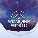 The Wizarding World™