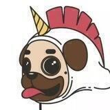 📉껑껑이의 메모장📈