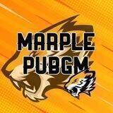 MARPLE PUBGM