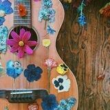 نــتــالــي ♥️🎼.