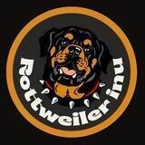 Rottweiler Inu