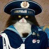 КотZ ГамаюнZ