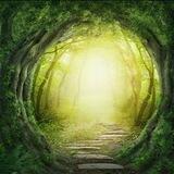✨ محفـل نـۅر ✨