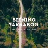 Bizning Yakkabog' Yakkaboĝ elonlari Yakkaboĝ savdo