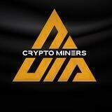 CRYPTO MINERS