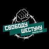 Дело Шестуна