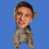 STEVE WILL DO IT INU