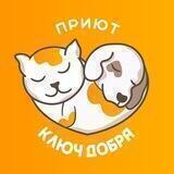 Приют спасённых "Ключ Добра" Краснодарский край, г. Горячий Ключ