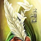 حُبّ الحُسين هويتي 🌺✨