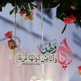 أمـي الحـبيـبة ➺🌸