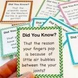 Conversational flash cards
