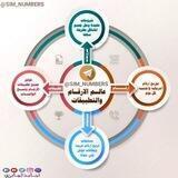 عالم الأرقام والتطبيقات