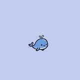 Lucy lucu suci 🐋