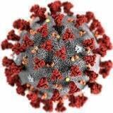 ☣️Coronavirus Intelligence
