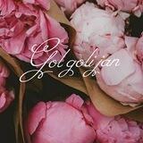 ɢOʟɢOʟɪ JAɴ
