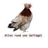 Alles rund ums Geflügel 🐔🦢🦆