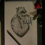 ‹ رَائِحَةُ الجَنّة ..!🕊💙 ›