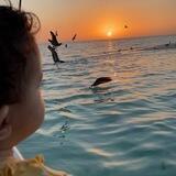 علم ينتفع به