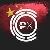PrimeXBT | Covesting - 中国 🇨🇳