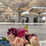 ••|| رَوْضـَةُ الـعُـــــ🌿ـــقَلاَء ||••