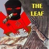 THE LEAFS