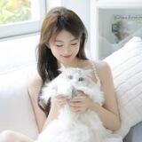【雙北 林口龜山 新竹】挑選美女