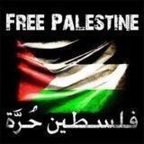 اخبار فلسطين الان