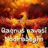 QAQNUS NAVOSI NODIRABEGIM SHERMATOVA
