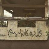 كل ده كان ليه!