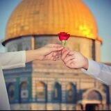 أنِيَنِ آلَقُلَبً☺️❤