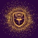 EMU • YТU • ЕМУ